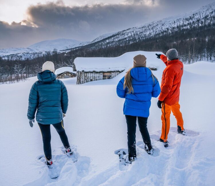 Into the Wild, guided tour on Senja, Overlanding Senja