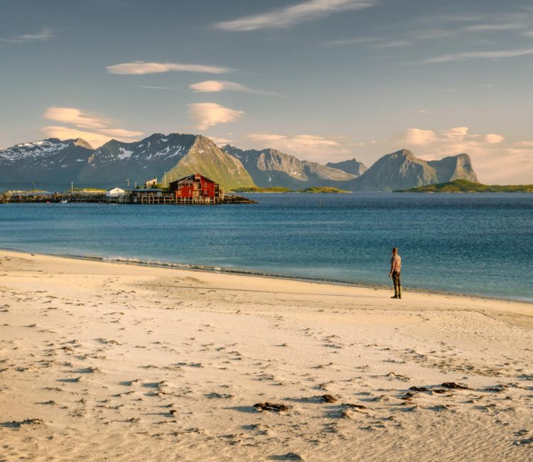 Summer on Senja island