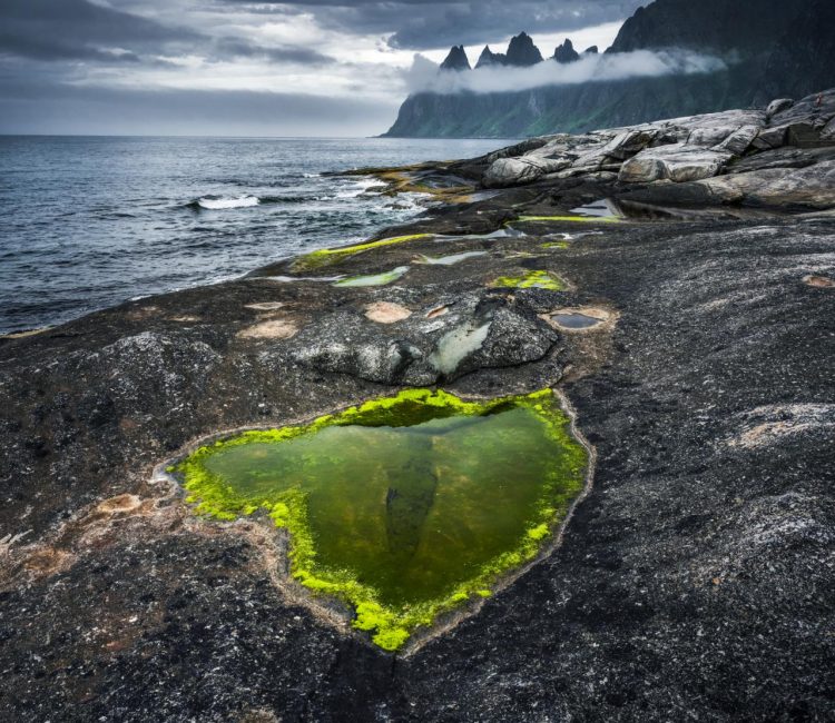 Tungeneset in summer